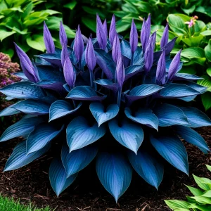 Хоста Сикрет Гров купить по цене от 570р. в интернет-магазине «Посадика» с доставкой почтой в в Нерехтае и по всей России – [изображение №1].